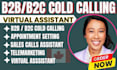 do b2c cold calling b2b cold calling virtual assistant b2b b2c sales cold caller