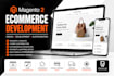 do a professional magento 2 ecommerce website