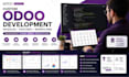 develop custom odoo modules, features and business workflows
