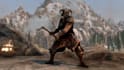 bannerlord, skyrim, bg3, l4d2, elden ring, fallout, witcher 3 model assets armor