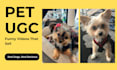 create authentic ugc ads for brand