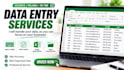do accurate data entry, copy paste and web reseach