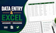do accurate data entry and basic excel tasks