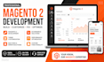 build a professional magento 2 ecommerce website