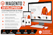 develop a professional magento 2 ecommerce store