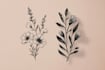 design a hand drawn botanical boho logo