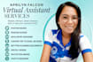 provide professional virtual assistant, data entry, payroll and HR services