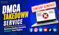 file a professional dmca takedown notice to remove stolen content