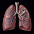 do medical and scientific illustrations