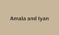 amala and fufu efo