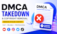 provide dmca takedown and copyright removal service