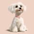 pet portrait into cute disney style