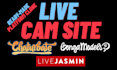develop adult cam site, chaturbate clone, live webcam streaming website
