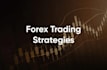 provide forex trading course and i will write finance blogs