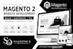 build a professional magento 2 ecommerce website