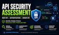 perform an API security assessment and vulnerability testing