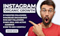 do fast instagram organic growth