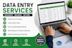 do accurate data entry excel copy paste and web reasearch