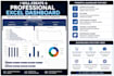 create a professional interactive excel dashboard
