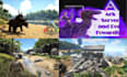 setup and install an ark survival evolved game server