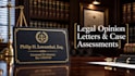 draft a premium legal opinion letter and case assessment
