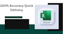 do professional data entry and excel work for you