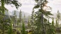 create 3d game environment, game map, level design and assets in unity and ue5