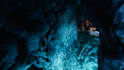 highquality 3d assets, environment composition, lighting