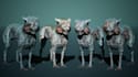 create 3d creature model, monster model, game ready 3d animal model for unreal
