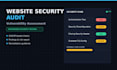 perform a professional web security audit and vulnerability assessment