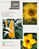 design social media posts using canva