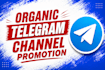 organic telegram promotion and targeted telegram growth