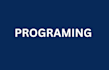 tech any programming and problem solving