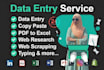 do accurate data entry, web research and excel data entry