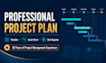 create your professional project plan
