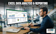 do excel data analysis and visualization