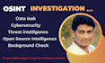 do osint investigation data leak audit and threat intelligence report