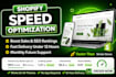 speed up shopify speed optimization shopify speed for google pagespeed insights