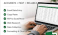 data entry and excel specialist