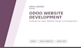 develop odoo website, odoo custom module, odoo crm and erp integration