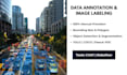 do image annotation, bounding box, and polygon segmentation
