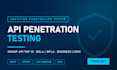 do API penetration testing and owasp API top 10 security audit