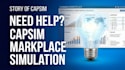 help market place business simulation strategy  and analysis