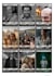 design custom collectible and trading cards