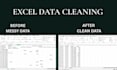 be your excel data entry, data cleaner and data analysis for startups