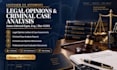 provide a professional legal case evaluation and strategy document