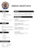 design a professional CV resume and modern resume