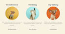 create an appealing website