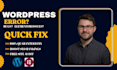 fix wordpress bugs, elementor errors, plugin conflicts and website issues