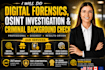 do digital forensics, osint investigation and criminal background check